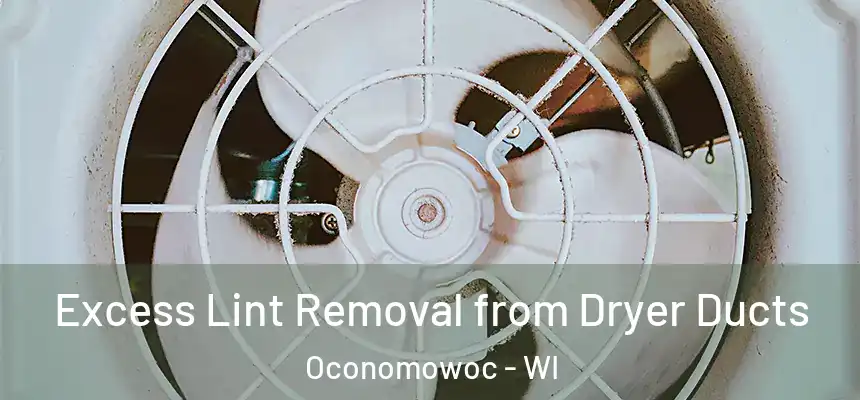  Excess Lint Removal from Dryer Ducts Oconomowoc - WI