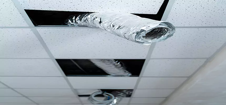 Affordable HVAC Sanitizing After Pest Removal in Oconomowoc