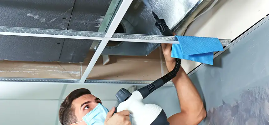 Our Air Duct Rodent Removal Services in Oconomowoc, WI