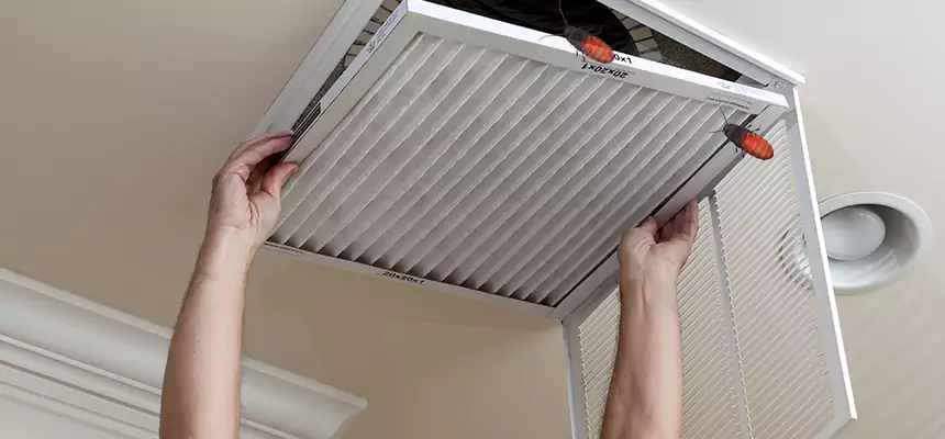 Our Insect Removal from Air Ducts Services in Oconomowoc, WI
