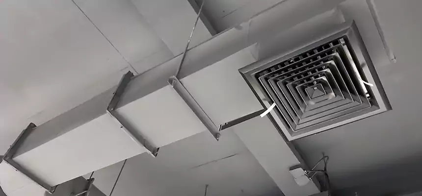 Our Pest Removal From Ducts Services in Oconomowoc, WI