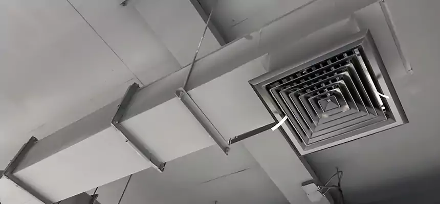 Our Rodent Droppings In Vents Services in Oconomowoc, WI